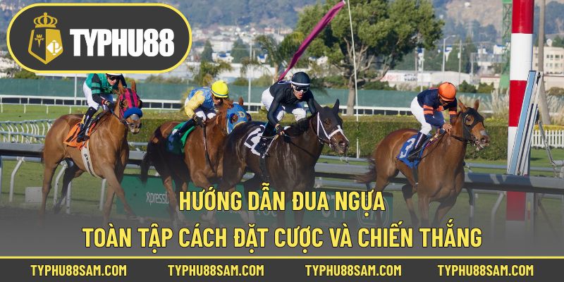 hướng dẫn đua ngựa