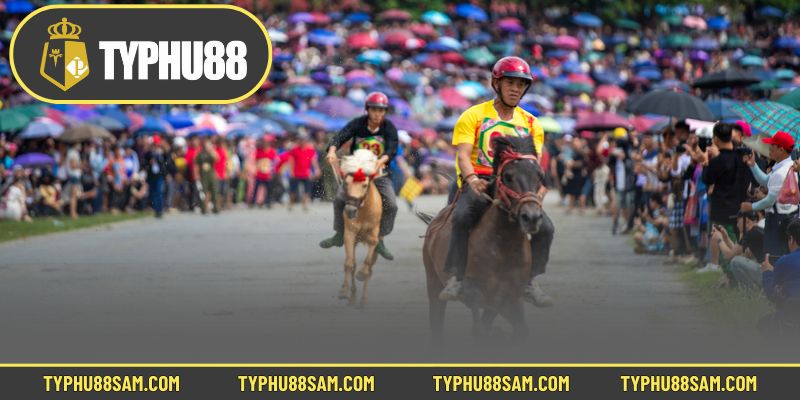Hướng dẫn đua ngựa và các loại cược