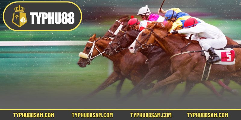 Hướng dẫn đua ngựa và chiến lược phân tích soi kèo